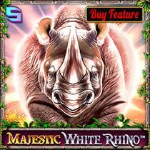 Majestic White Rhino